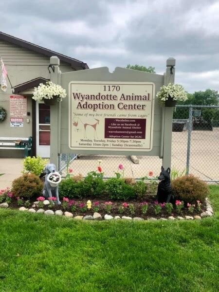 Wyandotte Animal Adoption Center .